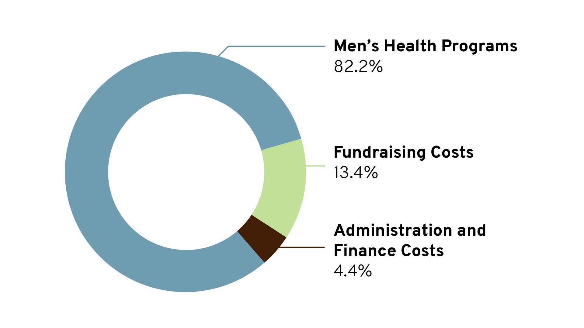 Pie chart showing Movember's financial information